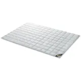 SPESSARTTRAUM Daunendecke Gold ultra leicht Sommerdecke (Größe: 135x200 cm)