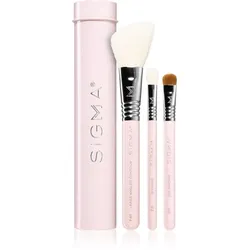 Sigma Beauty Essential Pinselset mit Etui