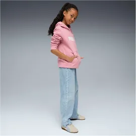 Puma ESS No. 1 Logo Hoodie FL G