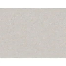 A.S. Création A.S. Creation Vliestapete Elegance 3 Uni Beige FSC®