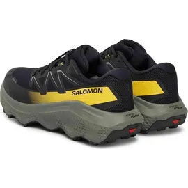 Salomon Ultra Flow 2 GTX Herren Black/Sedona Sage/Incaberry 42,6