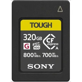 Sony Alpha ILME-FX30