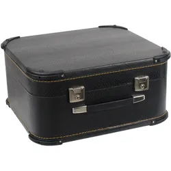 Alpenklang Harmonikakoffer / Akkordeonkoffer 48 Bass - Luxus