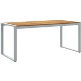 vidaXL Gartentisch 180 x 90 x 75 cm Grau