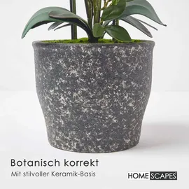 Homescapes Künstliche Weiße Phalaenopsis-orchidee im Dunkelgrauen Keramiktopf, 82 cm