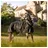 Bucas Irish Turnout Light Regendecke 50g 125 cm Schwarz/Gold