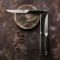 Amefa TENDERLOIN  Steakmesser Set, Edelstahl , 2-teilig