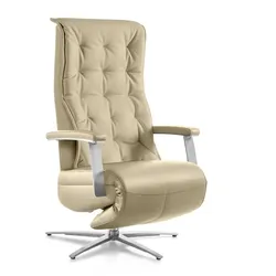 Segmüller Werkstätten Sessel Comforte Uno Anzio C4 Leder Natura