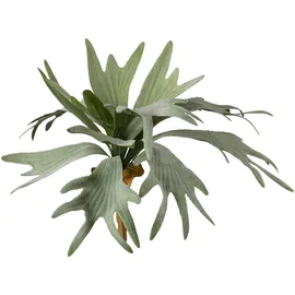 Creativ green Kunstzweig CREATIV GREEN "Geweihfarn", grün, H:35cm, Obermaterial: 100% Polyethylen, Kunstpflanzen, Kunstzweig