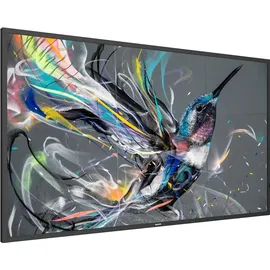Philips Q-Line 55"