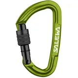 Salewa Hot G3 Screw Snap Hook Grün,Grün