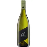 Weingut Pfaffl Grüner Veltliner Vom Haus 2024 0,75 l