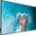 Hisense 65DM66D 65" schwarz