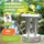 Bio Green BioGreen Paraffin Gewächshausheizung "Warmax Power 5" aus Edelstahl 600 Watt - 40 % längere Brenndauer - Silber