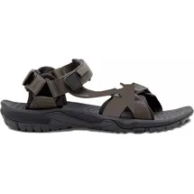 Jack Wolfskin Lakewood Ride Herren cold coffee 42