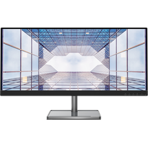 Lenovo L29w-30 29"