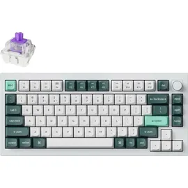 Keychron Q1 HE Kabellose Tastatur RGB Nebula, Switch Knob Version - White, US