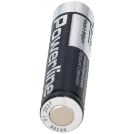 Panasonic 100x MICRO AAA LR03 MN2400 Batterie PANASONIC POWERLINE INDUSTRIAL 1383mAh