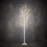 Luca Lightning LED Deko Birke Classic mit Timer 210 cm warmweiß