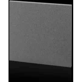 Rittal Blindabdeckung SK 3238.020 (VE2)