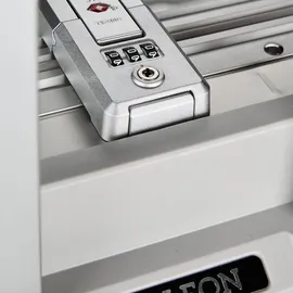 Aleon Business 4-Rollen Cabin 55 cm / 37 l grau/silber
