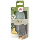 Nip PP-Flasche Cherry Green 260 ml + Latex-Trinksauger mittlerer Nahrungsfluss - Grün