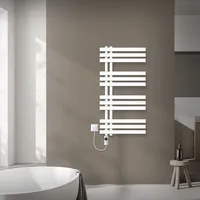 Luxebath Iron Radiator Handtuchheizkörper Heizkörper Weiß 50x100cm mit Heizstab