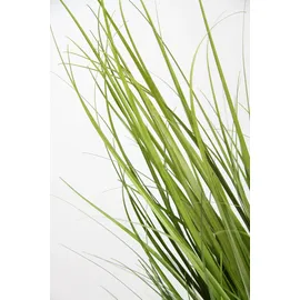 I.GE.A. Kunstpflanze I.GE.A. "Grasbusch", grün, B:20cm H:43cm L:20cm, Obermaterial: 100% Kunststoff, Kunstpflanzen, Kunstpflanze, Kunstgras