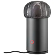 BLOMUS IRIS Anthrazit