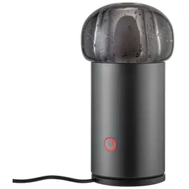 BLOMUS IRIS Anthrazit