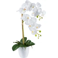 Creativ green Kunstorchidee »Orchidee Phalaenopsis«, mit real-touch-Blüten weiß