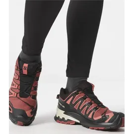 Salomon XA Pro 3D V9 GTX Damen Cow Hide/Black/Faded Rose 40