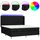 vidaXL Boxspringbett 180 x 200 cm Schwarz