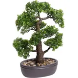 Botanic-Haus Emerald Künstliches Mini-Bonsai Ficus in brauner Schale 43 cm,