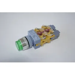 ELMAG Schalter mit Lampe - 9802501