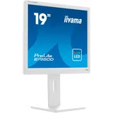 Iiyama ProLite B1980D-W5 19"
