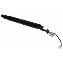 Vemo Elektromotor, Heckklappe [Hersteller-Nr. V58-55-0009] für Tesla