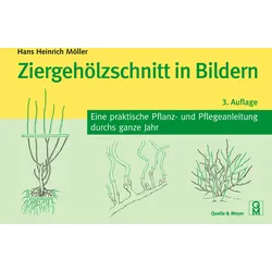 Ziergehölzschnitt in Bildern – Eine praktische Pflanz- und Pflegeanleitung durchs ganze Jahr