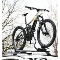 Fahrradträger Von Dach Pesio für Fahrrad Und Bike Ebike Fat Bike Max 25kg