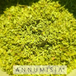 annumisia® Artemisia Annua Blätter Tee 100 g
