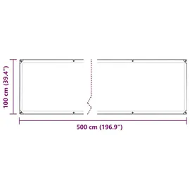 vidaXL Transparente Plane 100 x 500 cm Transparent