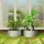 Outsunny Hochbeet 60 x 30 x 60 cm Silber
