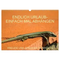 Calvendo Freude und Spaß an Tierfotos (Wandkalender 2026 DIN