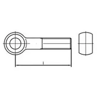 F. REYHER Nchfg. GmbH & Co. KG Augenschraube DIN 444 Form B M10 x 45 10 Stück