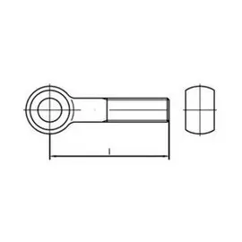 F. REYHER Nchfg. GmbH & Co. KG Augenschraube DIN 444 Form B M10 x 45 10 Stück