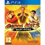 Cobra Kai 2: Dojos Rising - PS4