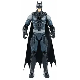 Spin Master DC Actionfigur sortiert