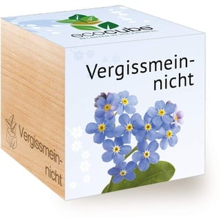 Feel Green Ecocube Vergissmeinnicht, Nachhaltige Geschenkidee (100% Eco Friendly), Grow Your Own/Anzuchtset, Pflanzen Im Holzwürfel, Made in Austria