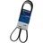 DAYCO 7PK2250