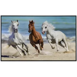 Papermoon Infrarotheizung Horse Herd Run Galopp 600 W bunt